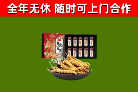 自贡烟酒回收冬虫夏草礼盒.jpg